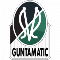 Team Logo