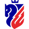 Botosani Logo